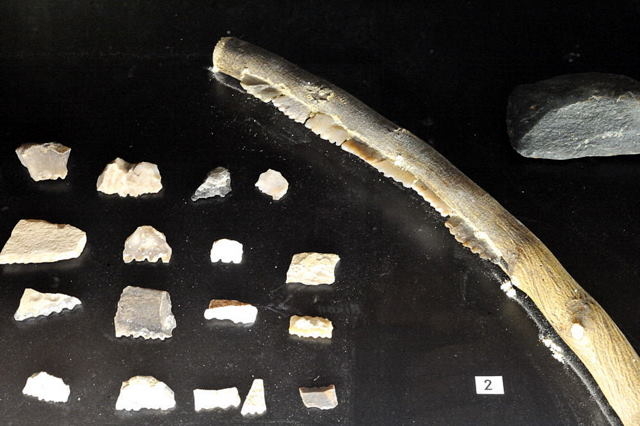 A history of Calasparra