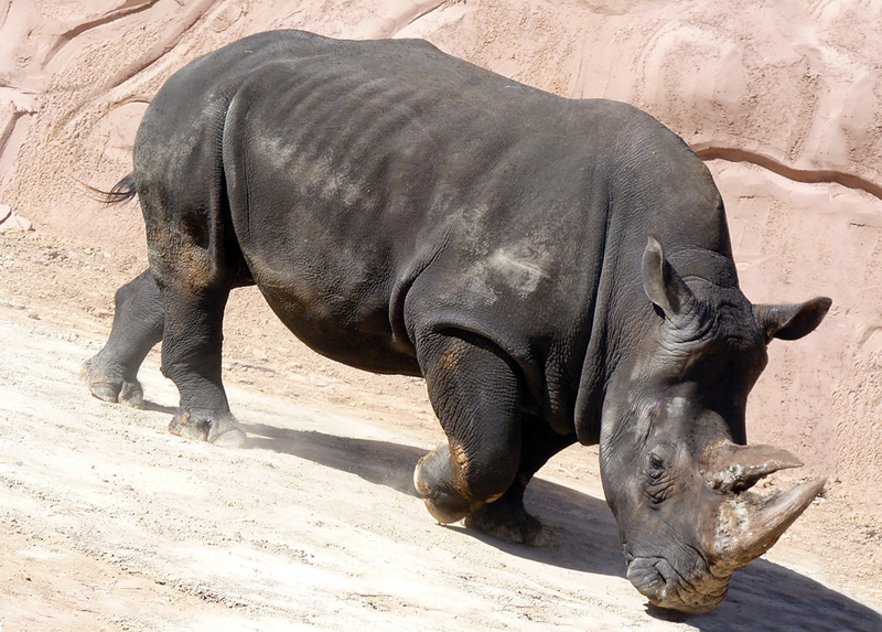 Terra Natura Murcia wildlife and water park