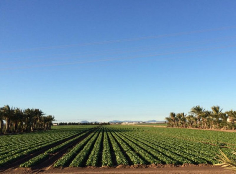 Understanding water and the drought in Murcia and the Segura basin