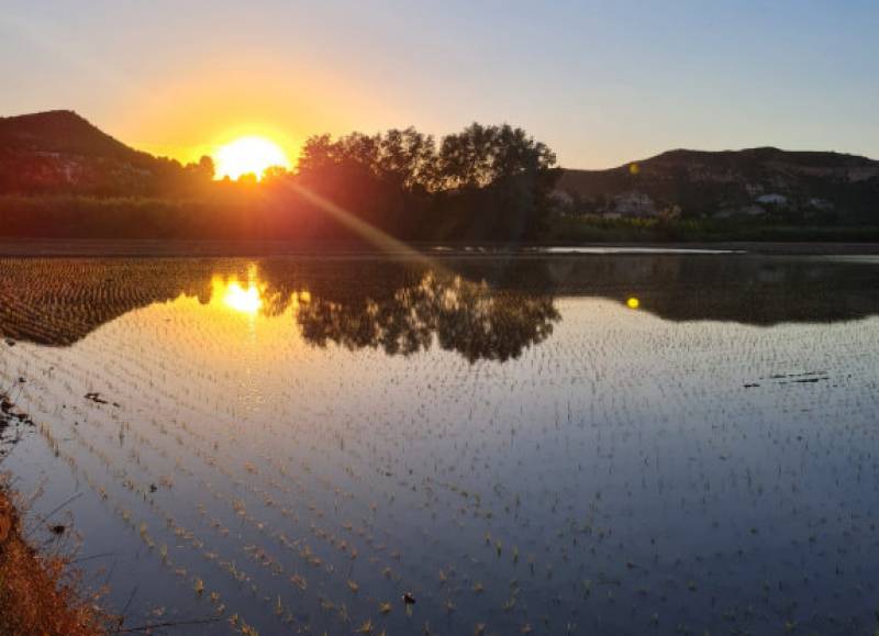 The rice fields of Calasparra, a unique day out in the Region of Murcia!