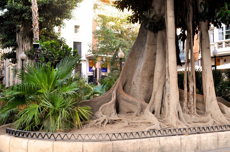 Plaza El Portal de Elche in Alicante City