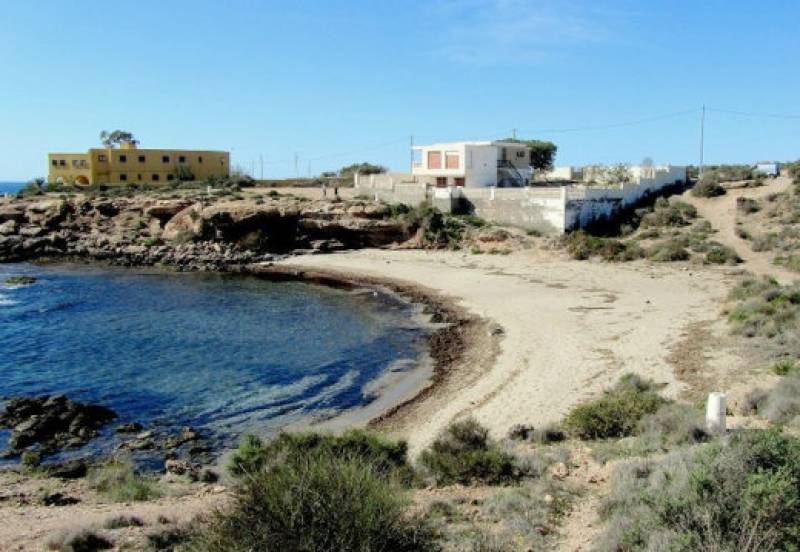 8 dog-friendly beaches in the Region of Murcia