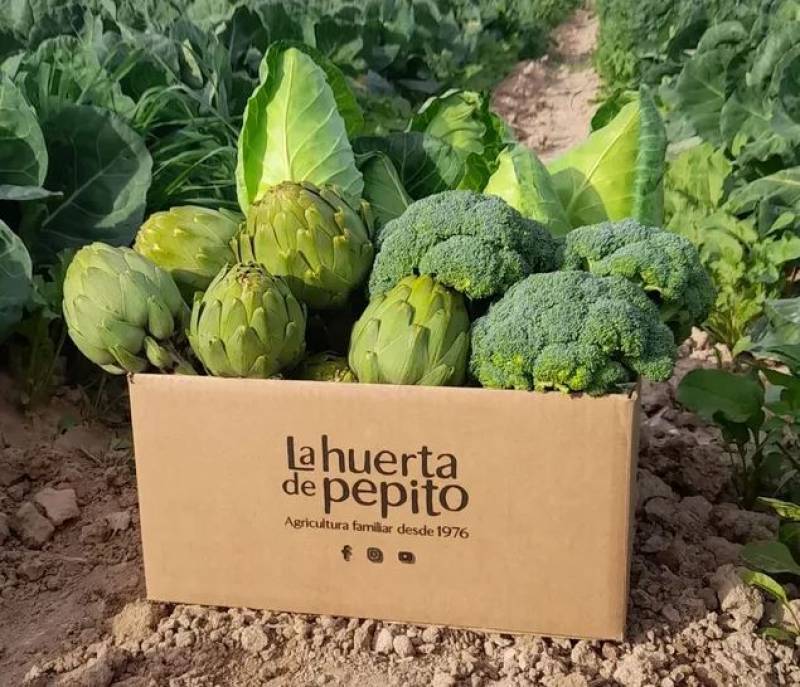 5 online platforms to buy fresh produce directly from farmers in Spain