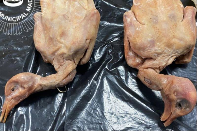 VIDEO: Chinese restaurant in Spain exposed for serving pigeon instead of duck