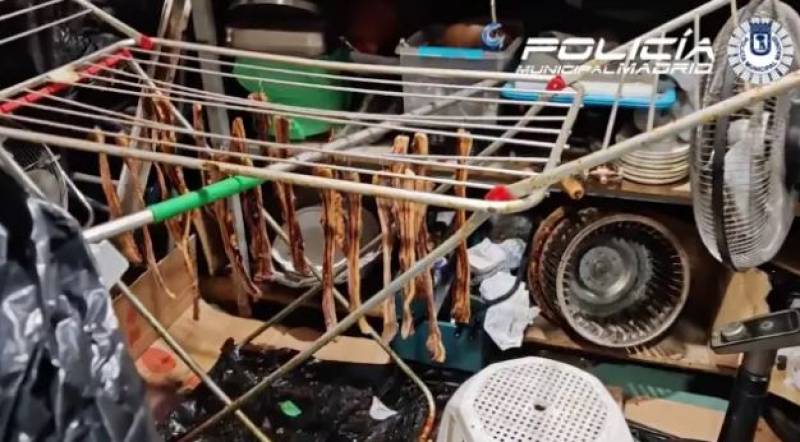 VIDEO: Chinese restaurant in Spain exposed for serving pigeon instead of duck