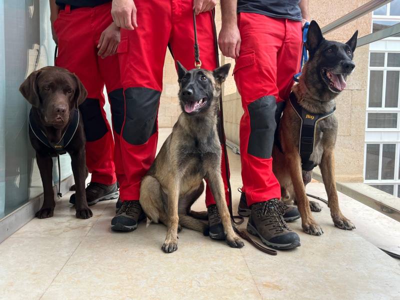 Murcia's new canine fire unit set to save lives in disasters and emergencies