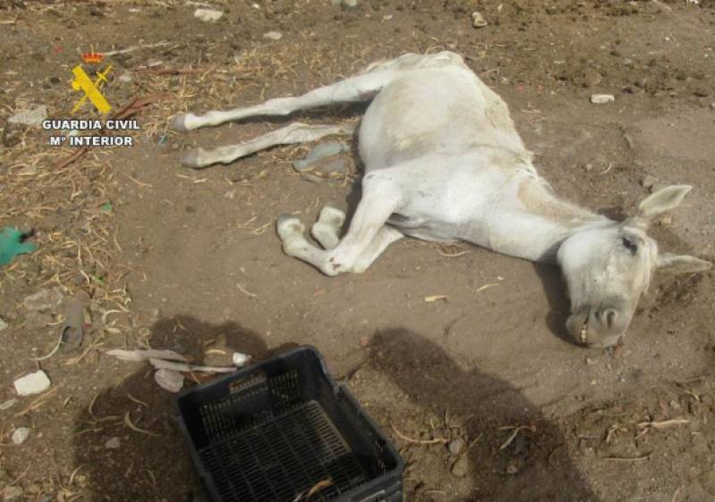 Spanish News Today Editors Roundup Weekly Bulletin Sept 26