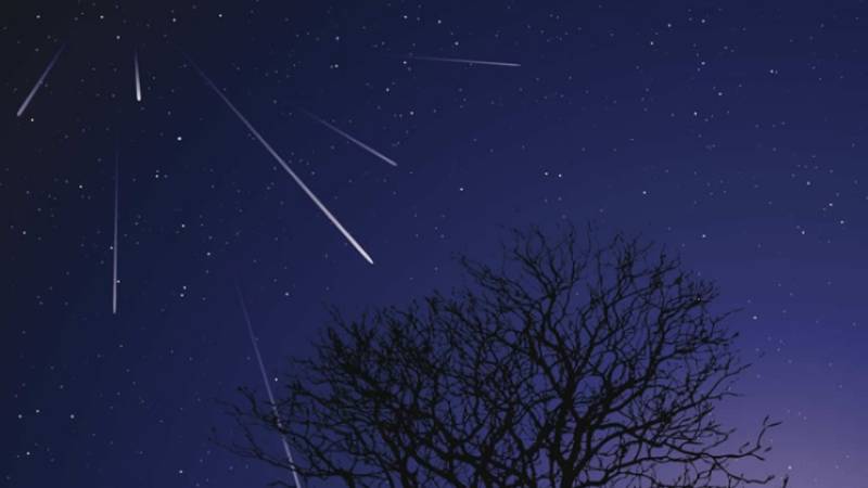 The Taurids meteor shower arrives in Spain: The night you can see fireballs in the sky