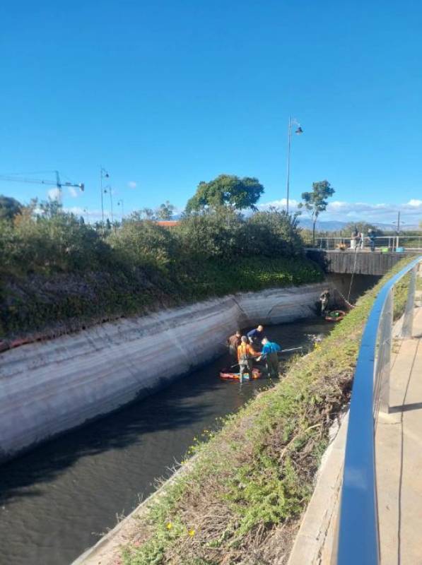 Fish in Condado lake were removed humanely, assures Biocyma