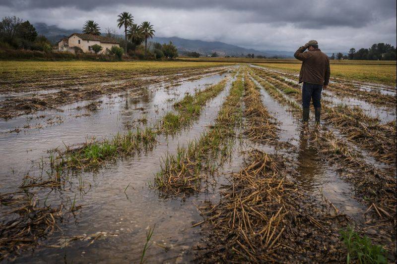 Relentless rain brings mixed fortunes for Andalucía as farms grind to a halt but reservoirs surge