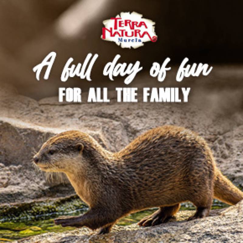 Otters add a lively splash to Terra Natura Murcia