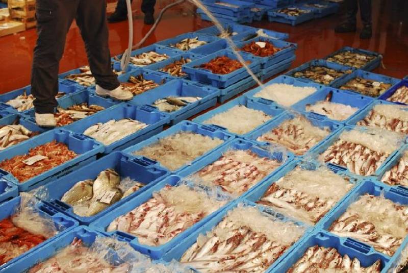 July 13 Free tour of the fish market at the port in Puerto de Mazarrón