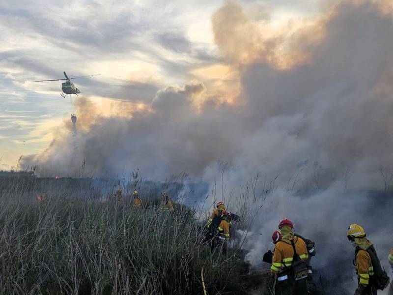 Murcia fast-tracks law introducing fines of up to €1 million for arsonists and wildfire offences