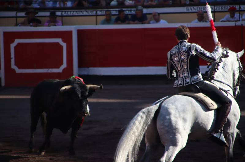 Andalucía to digitise bullfighting records from 2027