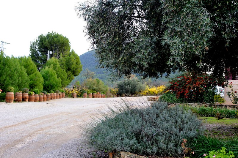 Jumilla wine route: Bodega Casa de la Ermita