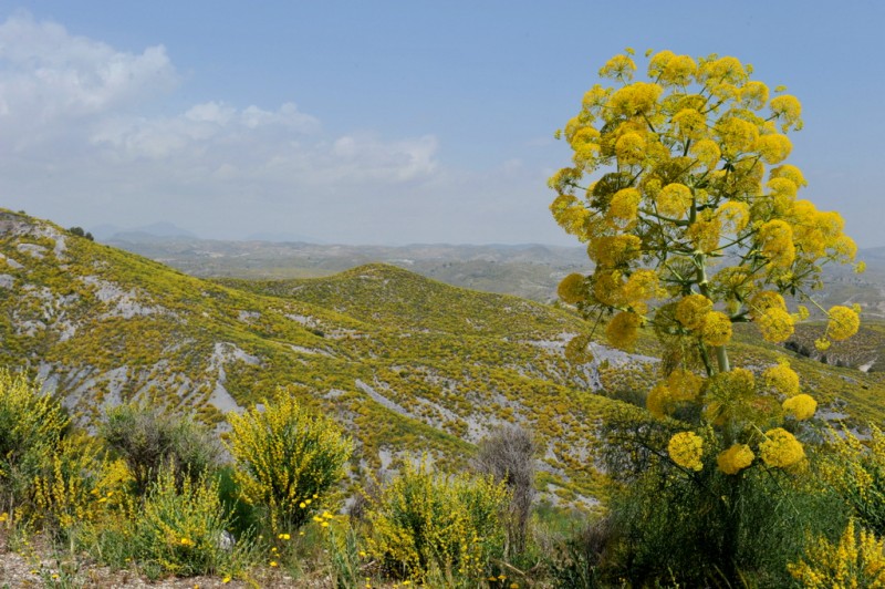 Residential property in Puerto Lumbreras