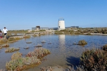 Parque Regional Salinas y Arenales de San Pedro del Pinatar