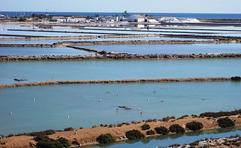 Parque Regional Salinas y Arenales de San Pedro del Pinatar