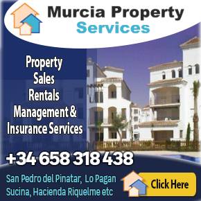 Murcia Property Services